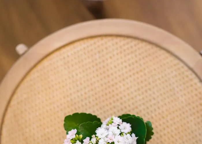 The Canopy Loft, A Curated 5-star Experience Appartement Athènes