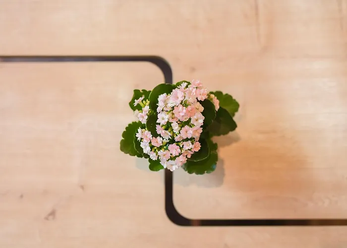 The Canopy Loft, A Curated 5-star Experience Appartement